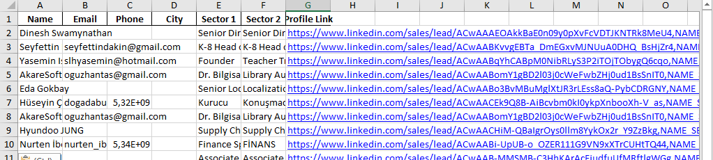 LinkedIn Sales Navigator Bot